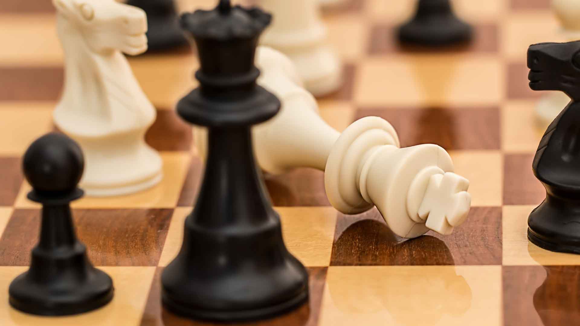 image : epnll-newsletter-infolettre-réussite-échec